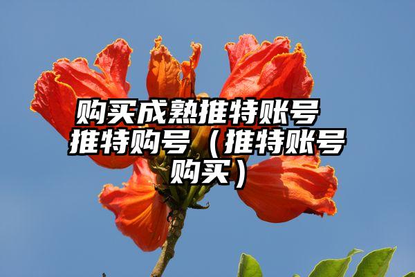购买成熟推特账号 推特购号（推特账号购买）