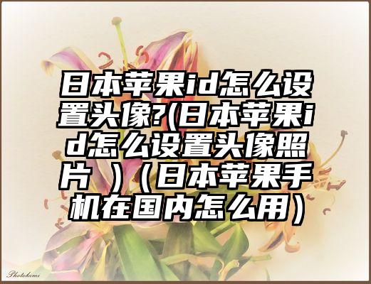 日本苹果id怎么设置头像?(日本苹果id怎么设置头像照片 )（日本苹果手机在国内怎么用）