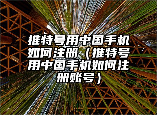 推特号用中国手机如何注册（推特号用中国手机如何注册账号）