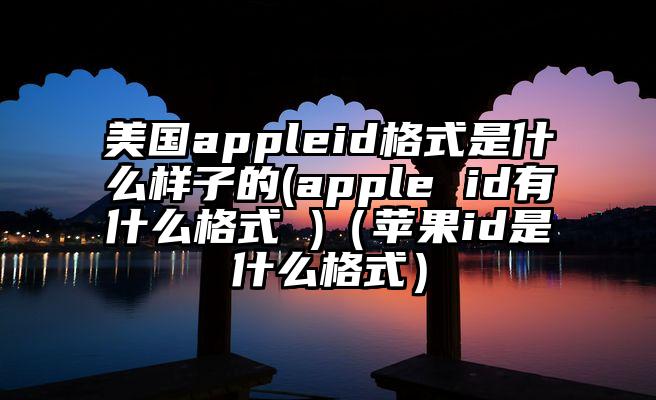 美国appleid格式是什么样子的(apple id有什么格式 )（苹果id是什么格式）