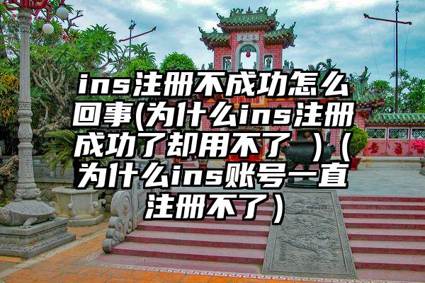 ins注册不成功怎么回事(为什么ins注册成功了却用不了 )（为什么ins账号一直注册不了）