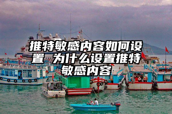 推特敏感内容如何设置 为什么设置推特敏感内容