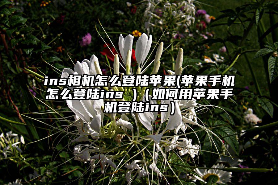ins相机怎么登陆苹果(苹果手机怎么登陆ins )（如何用苹果手机登陆ins）