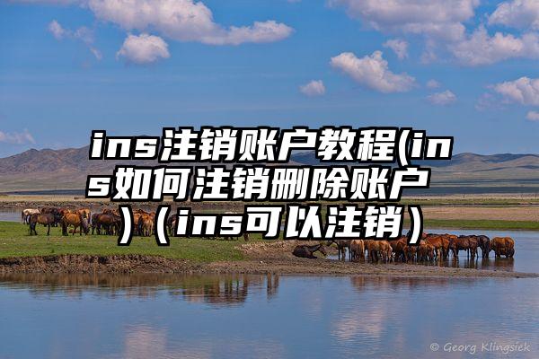 ins注销账户教程(ins如何注销删除账户 )（ins可以注销）