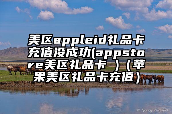 美区appleid礼品卡充值没成功(appstore美区礼品卡 )(苹果美区礼品卡充值)