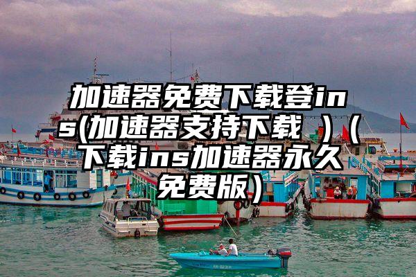 加速器免费下载登ins(加速器支持下载 )（下载ins加速器永久免费版）