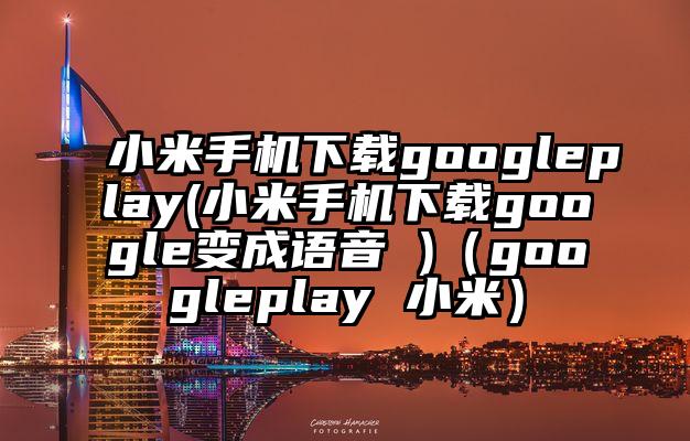 小米手机下载googleplay(小米手机下载google变成语音 )（googleplay 小米）