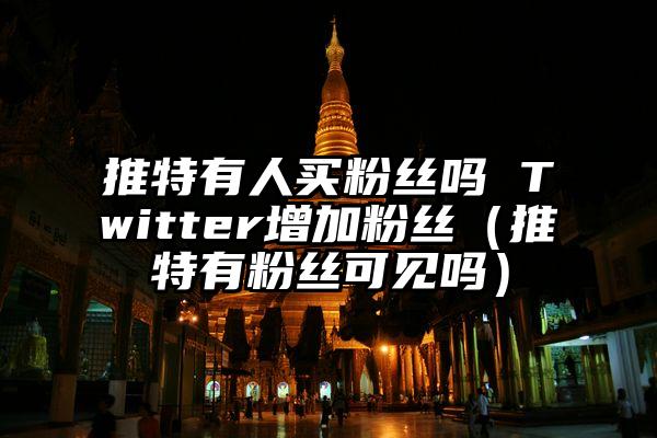 推特有人买粉丝吗 Twitter增加粉丝（推特有粉丝可见吗）