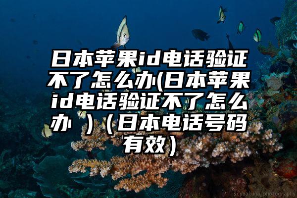 日本苹果id电话验证不了怎么办(日本苹果id电话验证不了怎么办 )（日本电话号码有效）