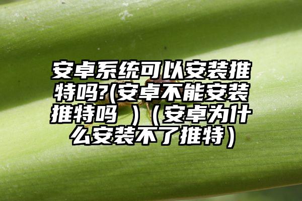 安卓系统可以安装推特吗?(安卓不能安装推特吗 )（安卓为什么安装不了推特）