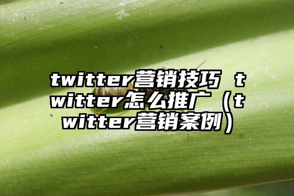 twitter营销技巧 twitter怎么推广（twitter营销案例）