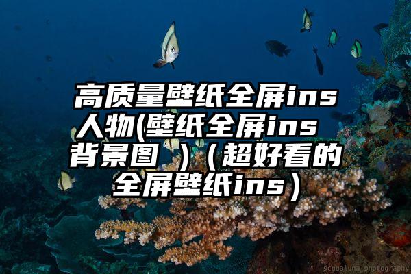 高质量壁纸全屏ins人物(壁纸全屏ins 背景图 )（超好看的全屏壁纸ins）