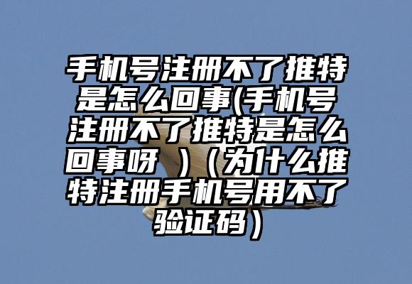 手机号注册不了推特是怎么回事(手机号注册不了推特是怎么回事呀 )(为什么推特注册手机号用不了验证码)