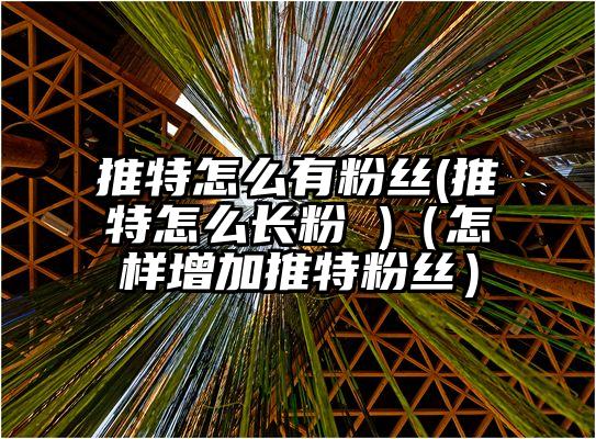 推特怎么有粉丝(推特怎么长粉 )（怎样增加推特粉丝）