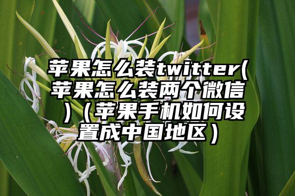 苹果怎么装twitter(苹果怎么装两个微信 )（苹果手机如何设置成中国地区）