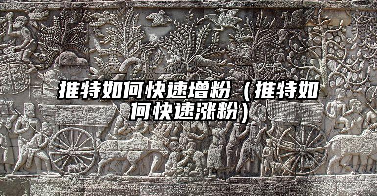 推特如何快速增粉（推特如何快速涨粉）