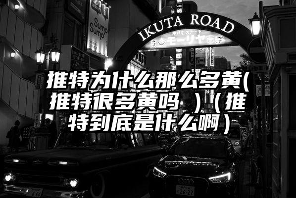 推特为什么那么多黄(推特很多黄吗 )（推特到底是什么啊）