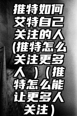推特如何艾特自己关注的人(推特怎么关注更多人 )（推特怎么能让更多人关注）