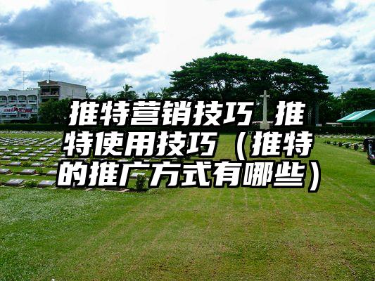 推特营销技巧 推特使用技巧（推特的推广方式有哪些）