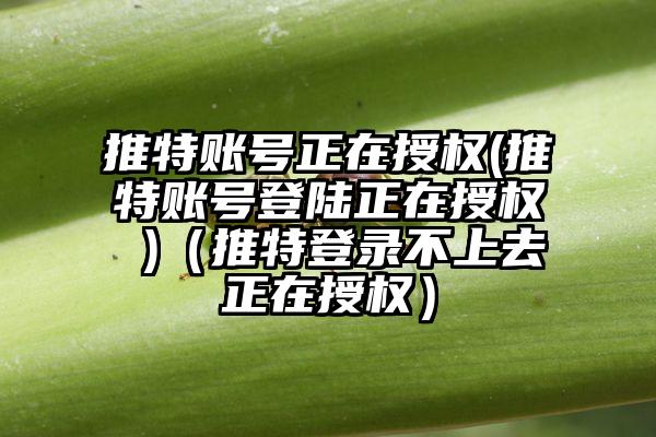 推特账号正在授权(推特账号登陆正在授权 )（推特登录不上去正在授权）