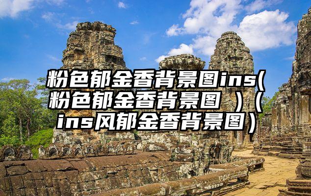 粉色郁金香背景图ins(粉色郁金香背景图 )（ins风郁金香背景图）