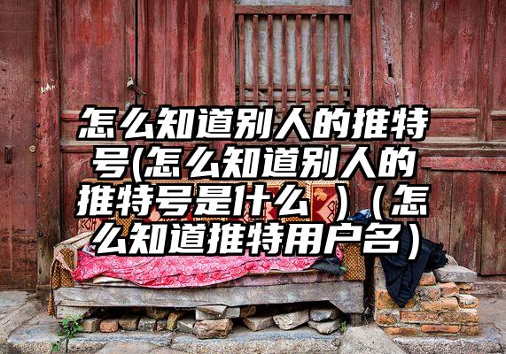 怎么知道别人的推特号(怎么知道别人的推特号是什么 )（怎么知道推特用户名）
