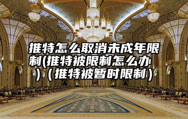 推特怎么取消未成年限制(推特被限制怎么办 )（推特被暂时限制）