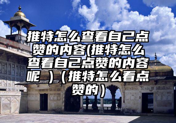 推特怎么查看自己点赞的内容(推特怎么查看自己点赞的内容呢 )（推特怎么看点赞的）