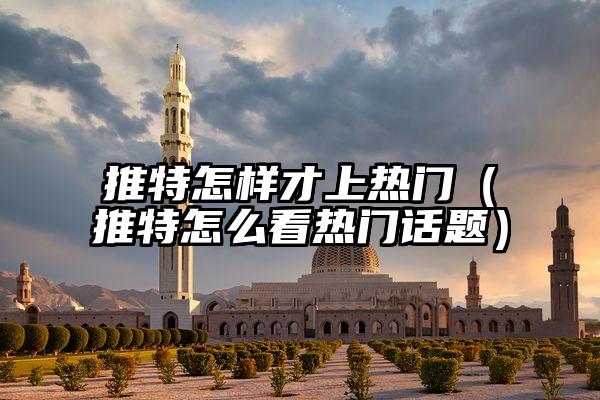 推特怎样才上热门(推特怎么看热门话题)