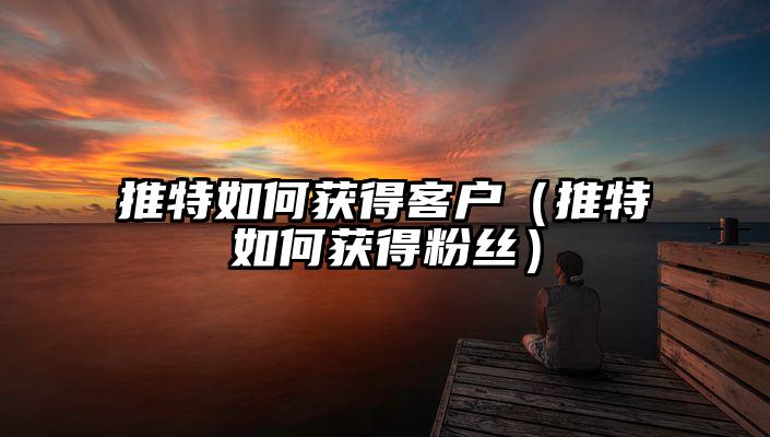 推特如何获得客户(推特如何获得粉丝)