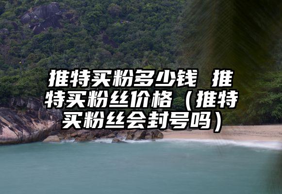 推特买粉多少钱 推特买粉丝价格（推特买粉丝会封号吗）
