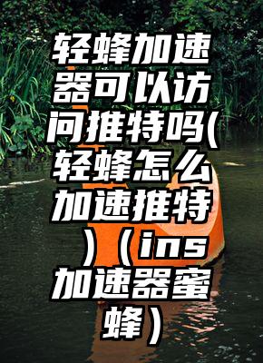 轻蜂加速器可以访问推特吗(轻蜂怎么加速推特 )（ins加速器蜜蜂）