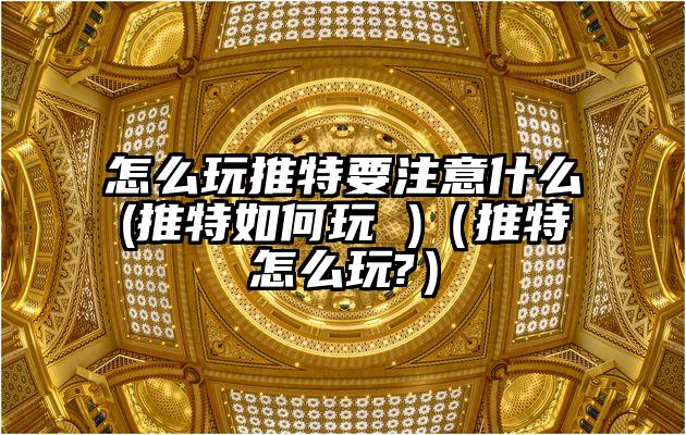 怎么玩推特要注意什么(推特如何玩 )（推特怎么玩?）