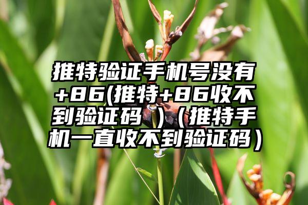 推特验证手机号没有+86(推特+86收不到验证码 )（推特手机一直收不到验证码）