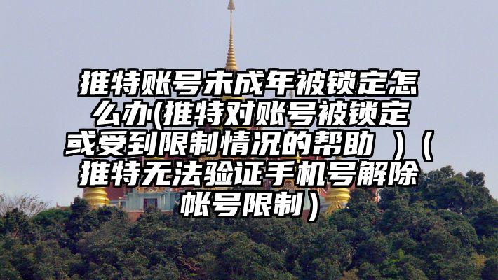 推特账号未成年被锁定怎么办(推特对账号被锁定或受到限制情况的帮助 )(推特无法验证手机号解除帐号限制)