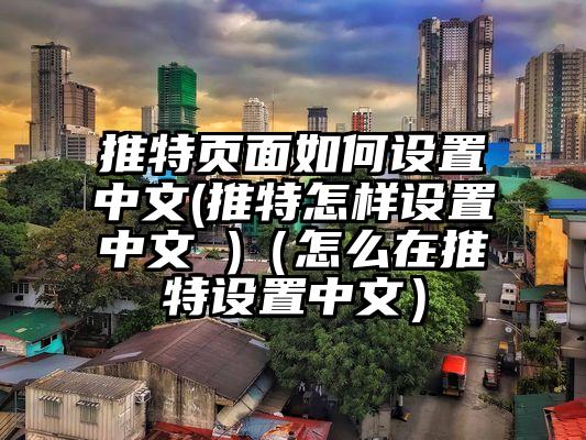 推特页面如何设置中文(推特怎样设置中文 )（怎么在推特设置中文）