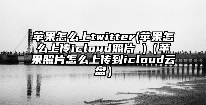 苹果怎么上twitter(苹果怎么上传icloud照片 )（苹果照片怎么上传到icloud云盘）