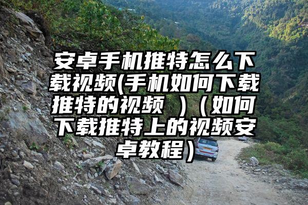 安卓手机推特怎么下载视频(手机如何下载推特的视频 )（如何下载推特上的视频安卓教程）