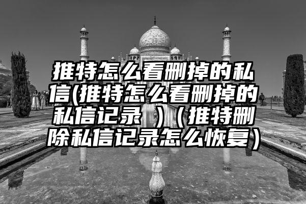 推特怎么看删掉的私信(推特怎么看删掉的私信记录 )（推特删除私信记录怎么恢复）