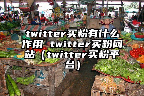 twitter买粉有什么作用 twitter买粉网站（twitter买粉平台）