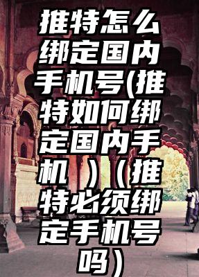 推特怎么绑定国内手机号(推特如何绑定国内手机 )（推特必须绑定手机号吗）