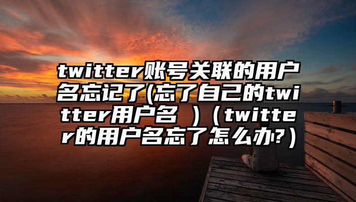 twitter账号关联的用户名忘记了(忘了自己的twitter用户名 )（twitter的用户名忘了怎么办?）
