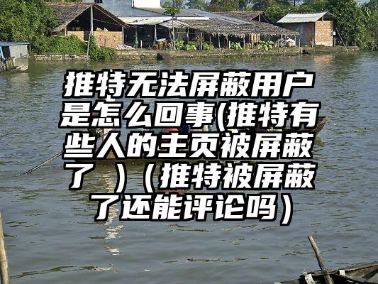 推特无法屏蔽用户是怎么回事(推特有些人的主页被屏蔽了 )（推特被屏蔽了还能评论吗）