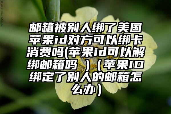 邮箱被别人绑了美国苹果id对方可以绑卡消费吗(苹果id可以解绑邮箱吗 )（苹果ID绑定了别人的邮箱怎么办）