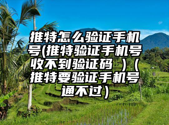 推特怎么验证手机号(推特验证手机号收不到验证码 )(推特要验证手机号通不过)