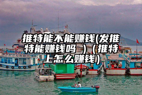推特能不能赚钱(发推特能赚钱吗 )（推特上怎么赚钱）