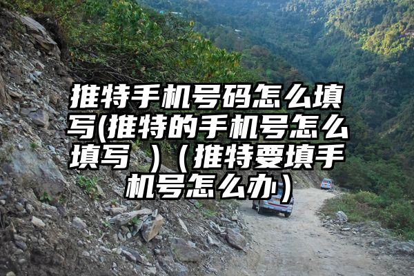 推特手机号码怎么填写(推特的手机号怎么填写 )（推特要填手机号怎么办）