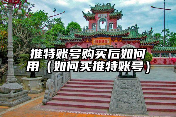 推特账号购买后如何用（如何买推特账号）