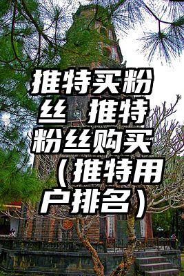 推特买粉丝 推特粉丝购买（推特用户排名）