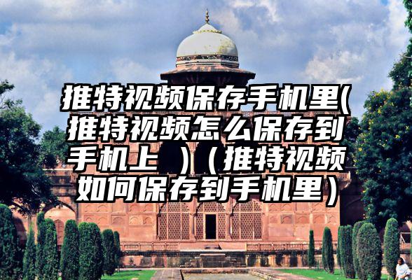 推特视频保存手机里(推特视频怎么保存到手机上 )（推特视频如何保存到手机里）